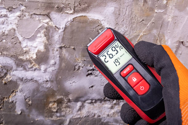 Best Residential Mold Remediation in Brookland, AR